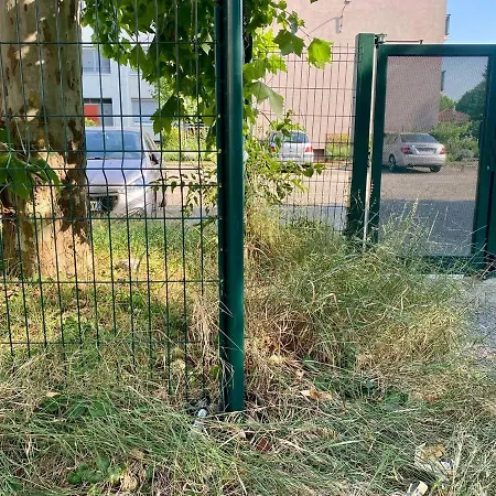 Bronhome Homestay szállás Bron